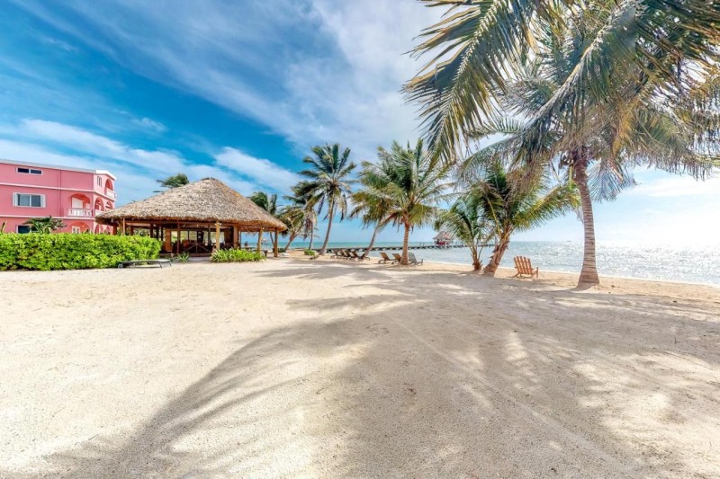 Image: Dhalia #21 at Caribe Island -Gold Standard Certified