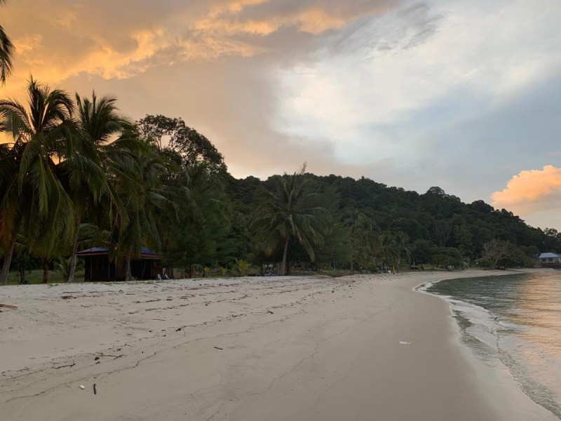 Image: Wild Pasir Panjang