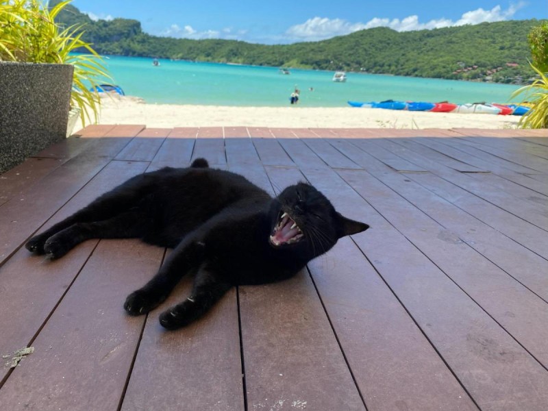 Image: By the Beach Hostel