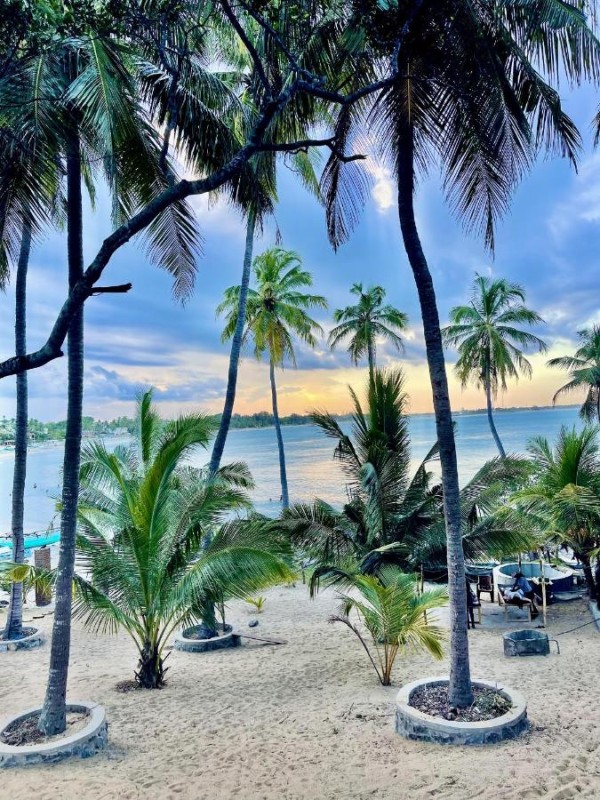 Image: kuda Bay Surf Hotel