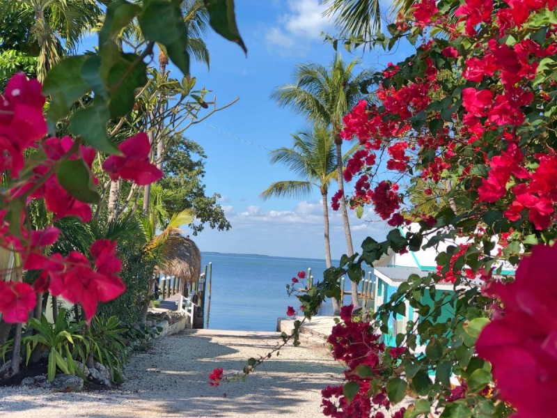 Image: The Pelican Key Largo Cottages
