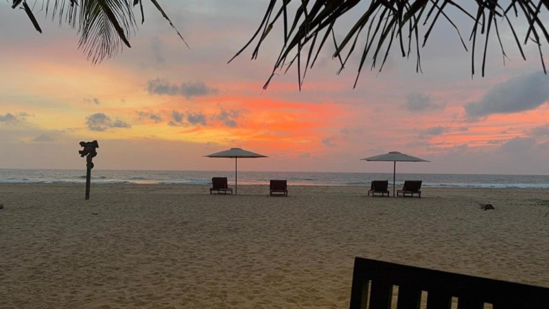 Image: Coconut beach