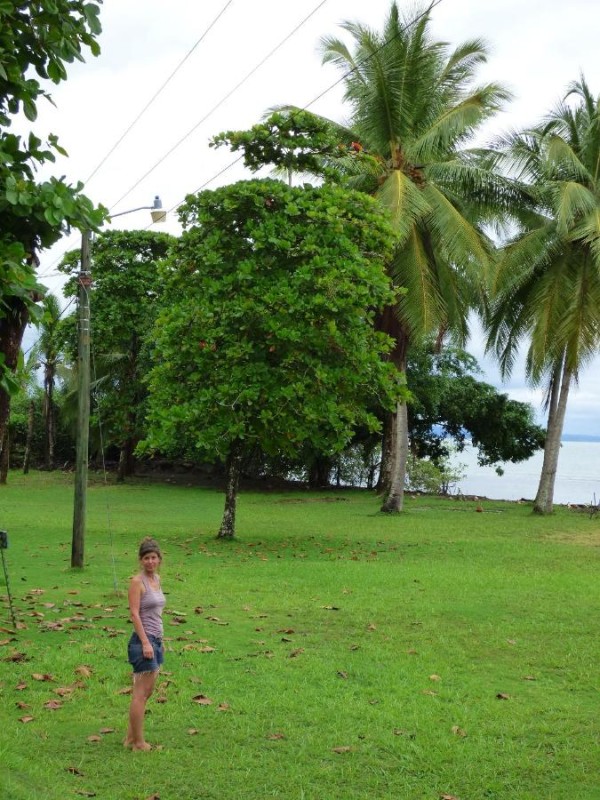 Image: Corcovado Beach Lodge