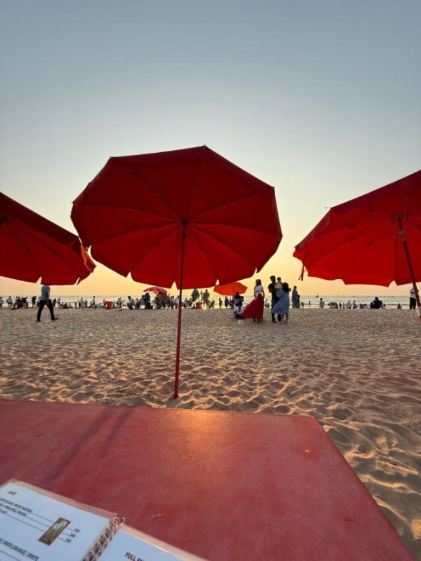 Image: Baga Sea shine