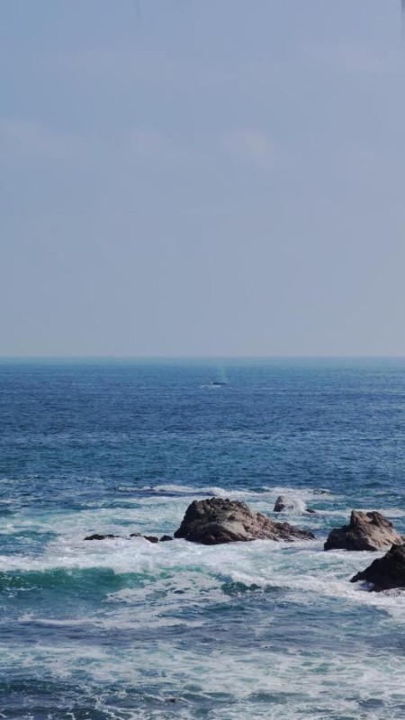 Image: Huatunalco Beach Hotel