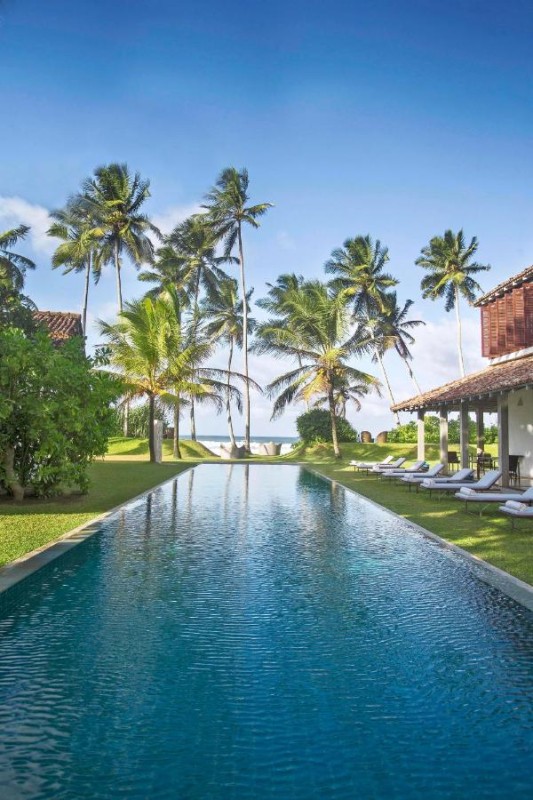 Image: The Frangipani Tree by Edwards Collection - Thalpe