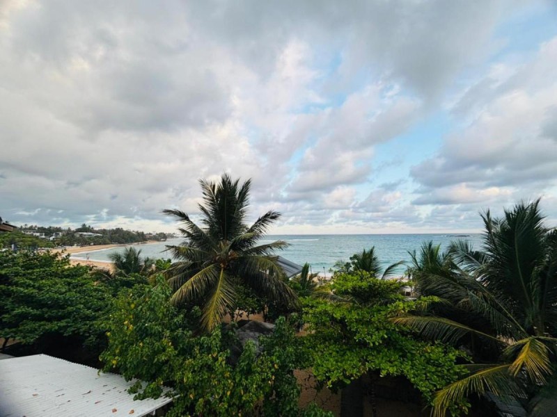 Image: Gecko beach resorts