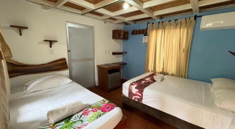 Image: Hotel Frida Paradise