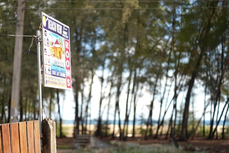 Image: Beach View Resort