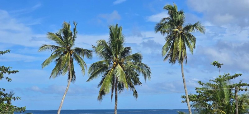 Image: Ojala Beach Resort