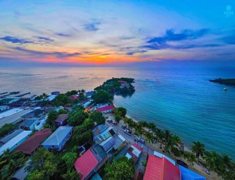 Image: Solea by The Sea