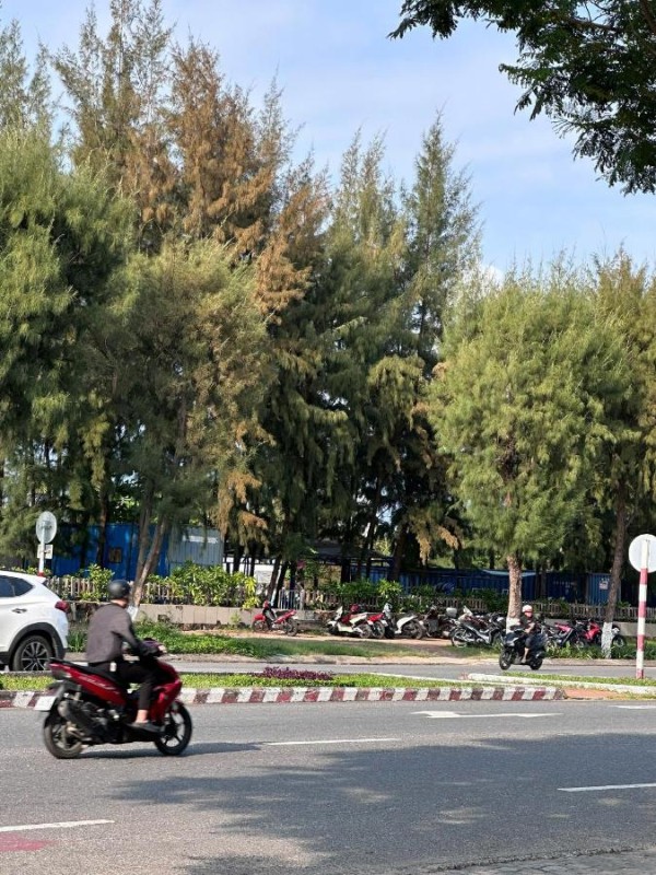 Image: Nhà Nghỉ Moon Light