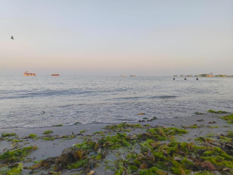 Image: EESHA Beach View Stay - Near Temple and Beach