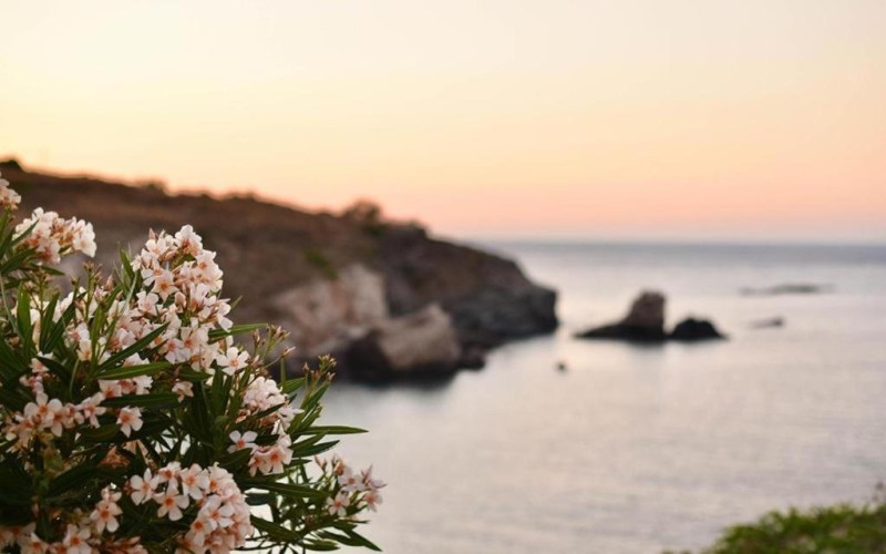 Image: Elefthia Syros - Luxury Houses & Suites
