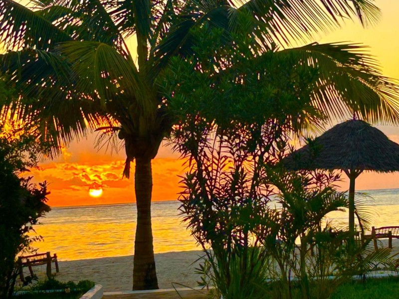Image: Ocean View Luxury Suite Zanzibar Pool and Beachfront