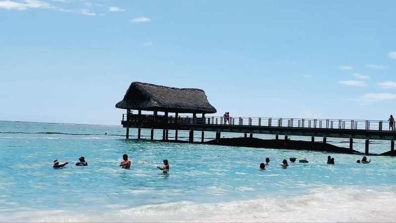 Image: Punta Cana Beach Hotel Pool Garden I