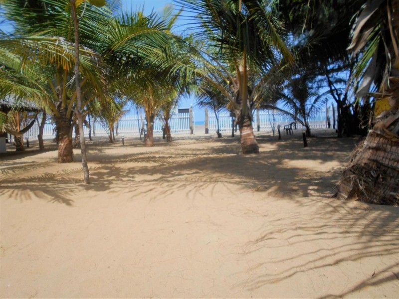 Image: Shim Beach Resort