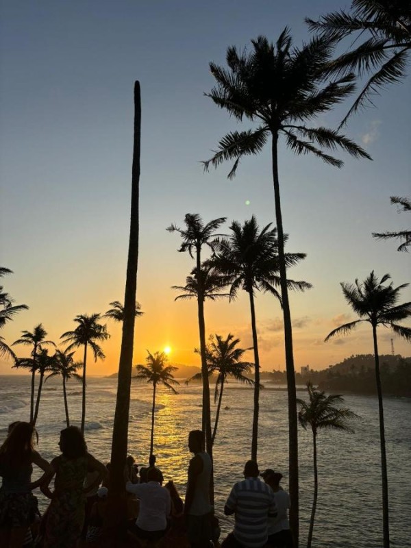 Image: Sanda Hiru Guest