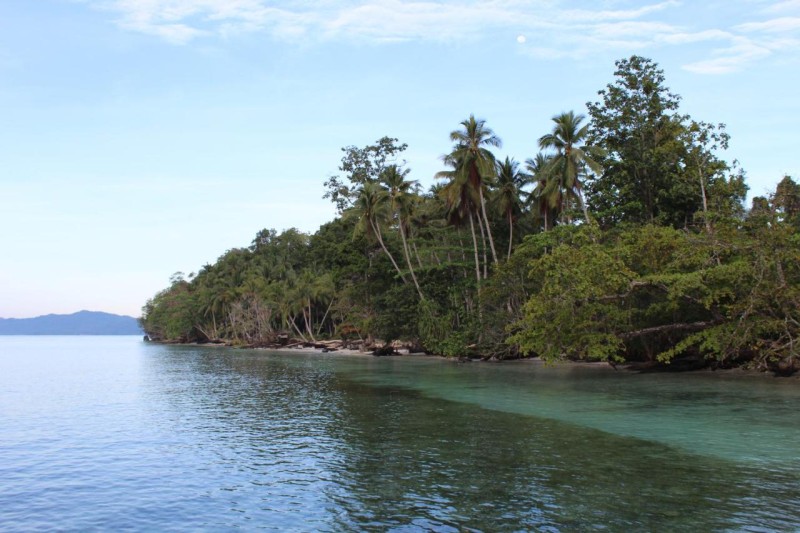 Image: Scuba Republic Beach Bungalows