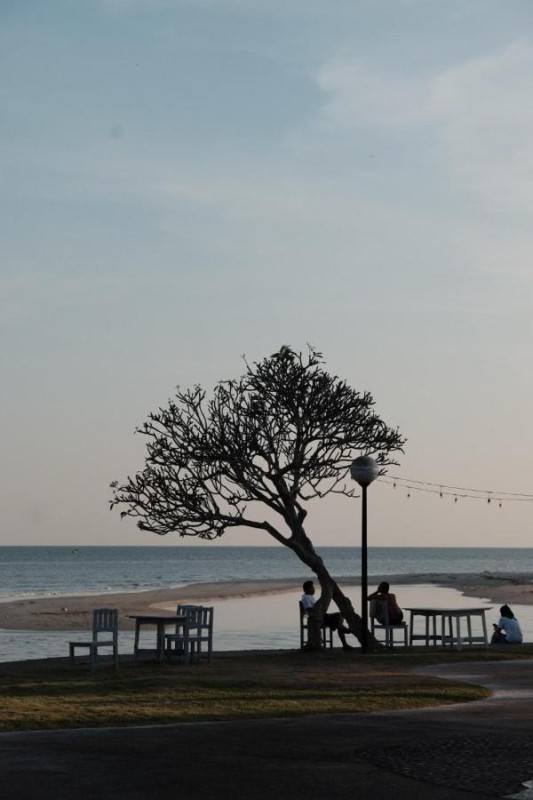 Image: Rockgarden Beach Resort