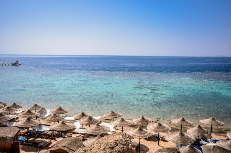 Image: Dive Inn Resort