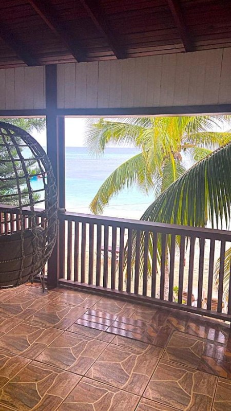Image: Coconut Tree West Bay
