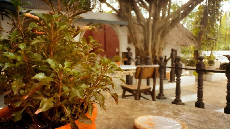 Image: Milky Bay Resort