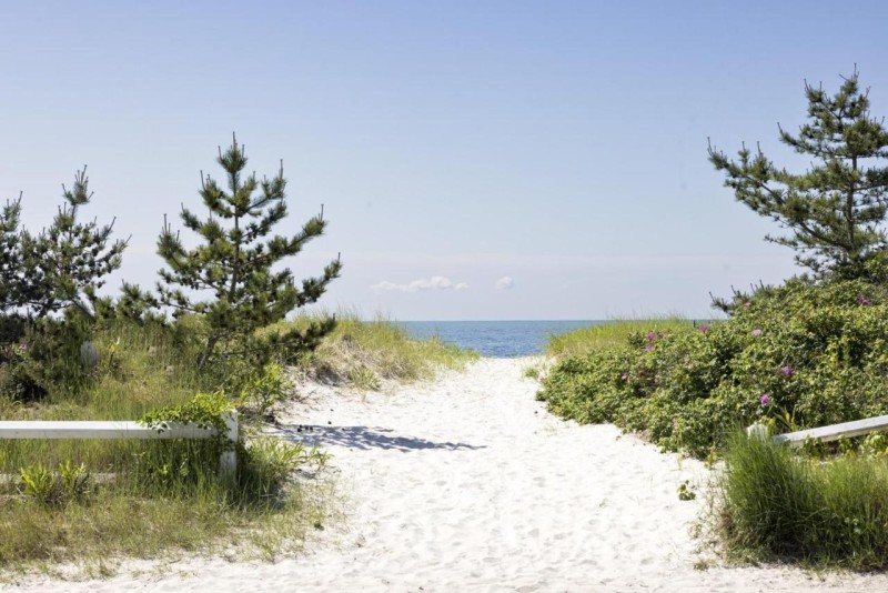 Image: Red Jacket Beach Resort
