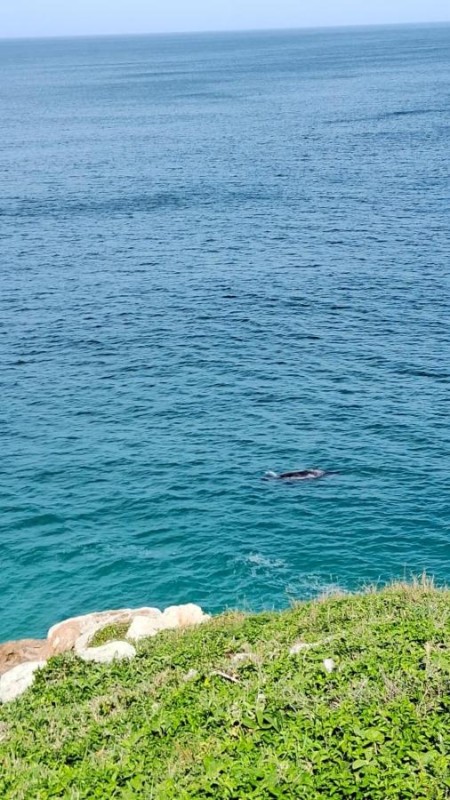 Image: Pousada Canto da Baleia