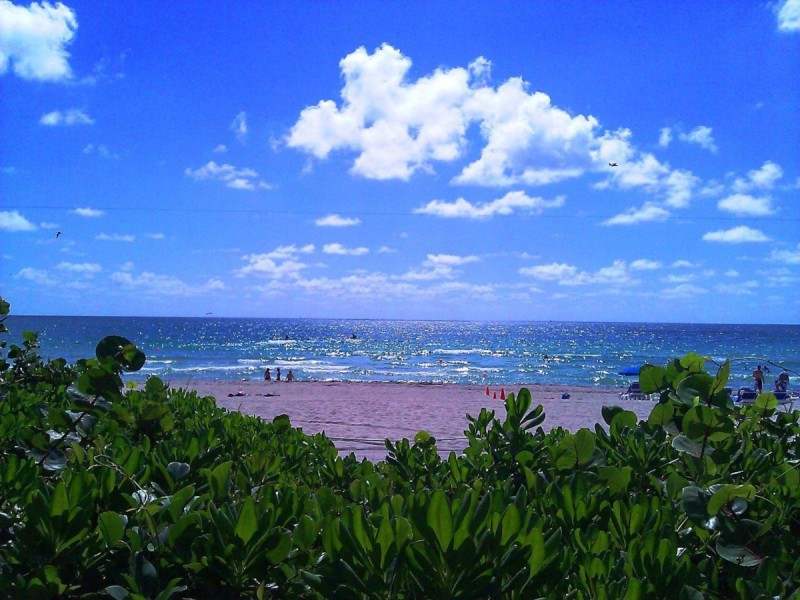 Image: Holiday Inn Miami Beach-Oceanfront by IHG