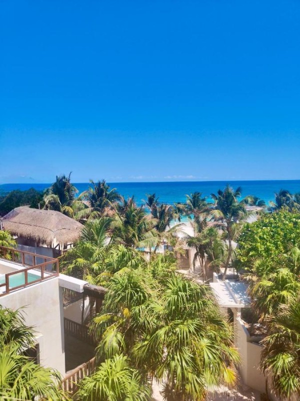 Image: Azucar Hotel Tulum
