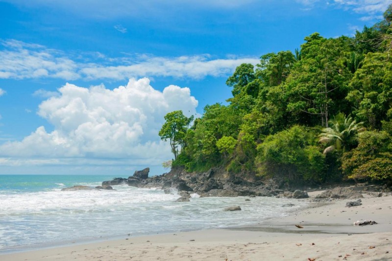 Image: Arenas Del Mar Beachfront & Rainforest Resort Member of the Cayuga Collection