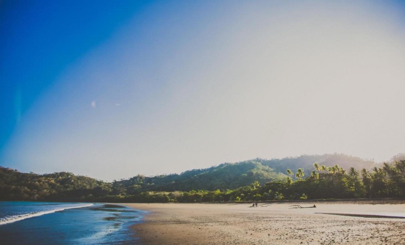 Image: Tambor Tropical Beach Resort- Adults Only