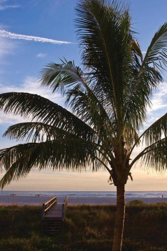 Image: Residence Inn by Marriott St. Petersburg Treasure Island