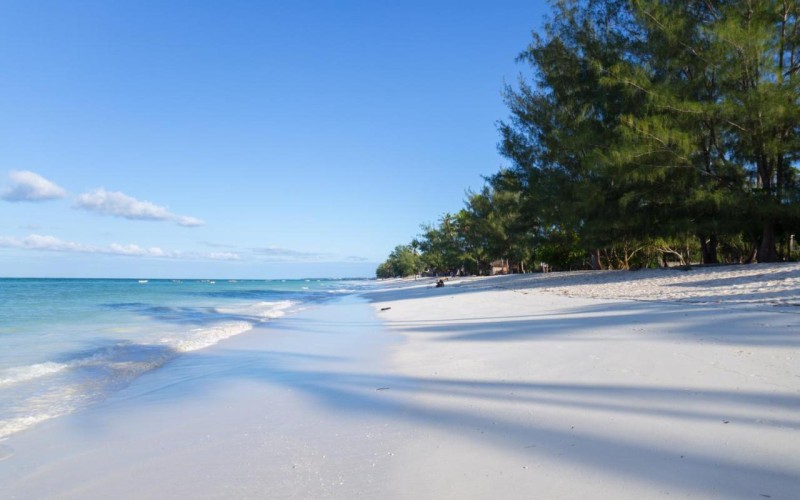 Image: Lazy Beach House