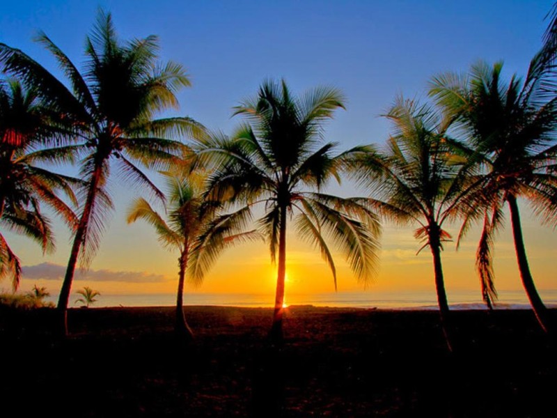 Image: Iguana Lodge Beach Resort