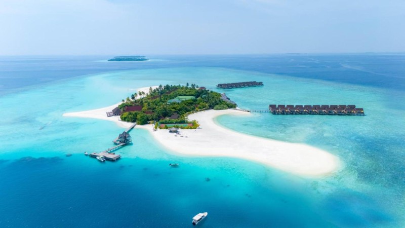 Image: Dhigufaru Island Resort