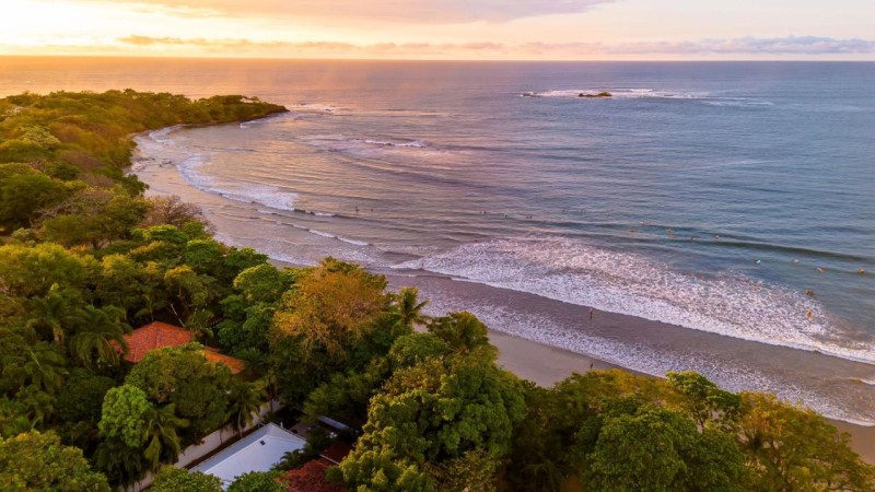 Image: The Coast Beachfront Hotel