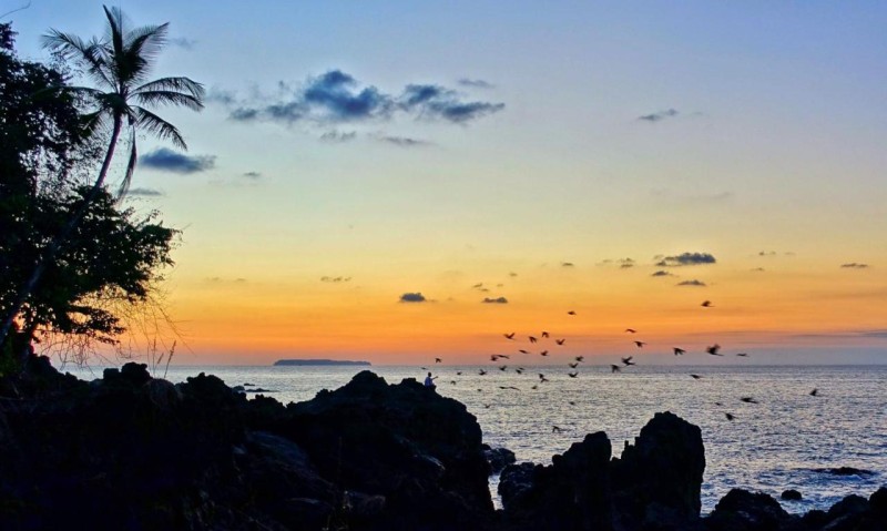 Image: Corcovado Adventures