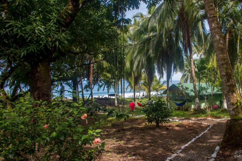 Image: Life for Life Hostel Lodge Drake Bay Home of Sea Turtle Marine Conservation Project Osa Peninsula near San Josecito Beach