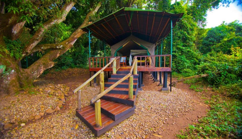 Image: Mbali Mbali Gombe Lodge