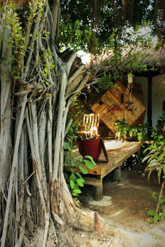 Image: Caracolito Hostal
