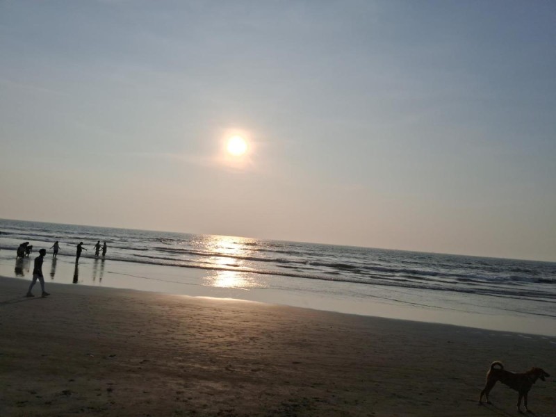 Image: Jasmine Beach Resort