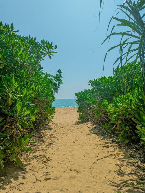 Image: Neem Jay Beach Resort