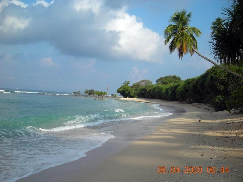 Image: Coconhuts Beach Resort