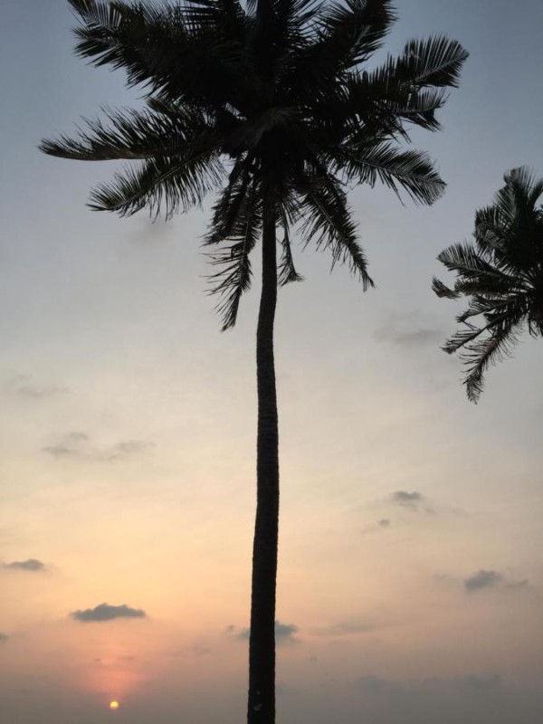 Image: E-Beach Resort