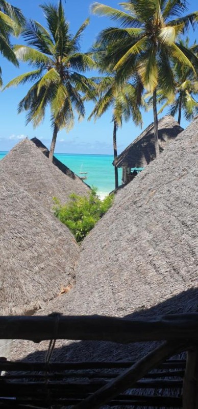 Image: Organic Roots Villa