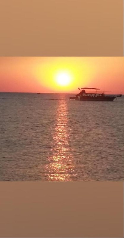 Image: Adrasan Maviay Hotel
