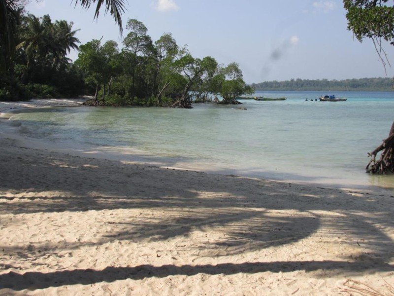 Image: The Kingdom, Havelock
