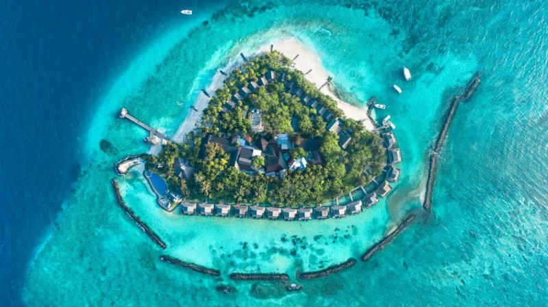 Image: Taj Coral Reef Resort & Spa,Maldives - Premium All Inclusive with Free Transfers